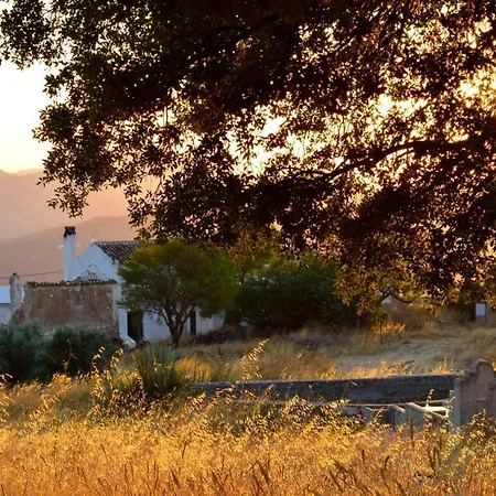 La Casa De La Huerta Stylish Family In Countryside *
